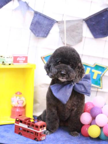 20230425クロちゃん